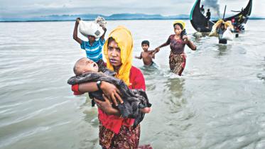 Rohingya Crisis