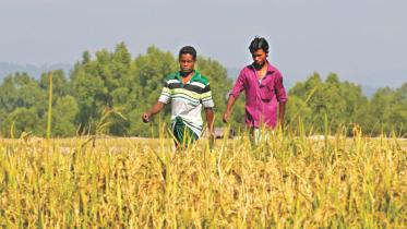 rohingyas crossing border.jpg