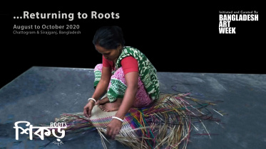 roots.jpg