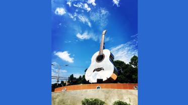 RUPALI GUITAR.jpg
