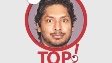 sanga quote.jpg