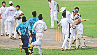 school cricket.jpg