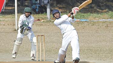 school cricket.jpg