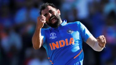 Shami.jpg