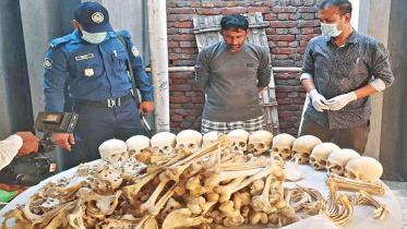 skeleton-smuggling.jpg