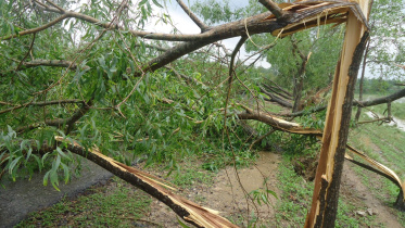 storm.jpg
