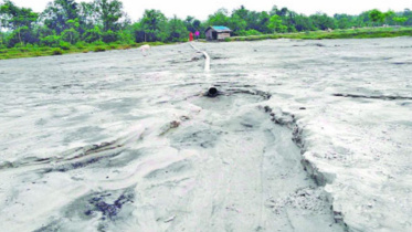 sundarban.jpg