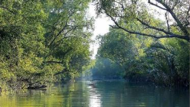 Sundarbans monitoring with drones