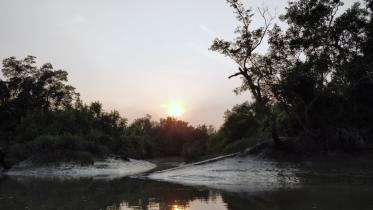 Sundarbans