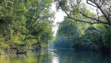 The Sundarbans