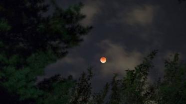 Supermoon-wb.jpg