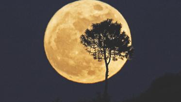 supermoon.jpg