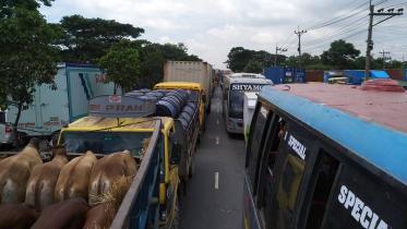 tailback-web.jpg