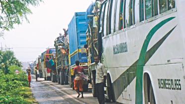 tailback 1.jpg