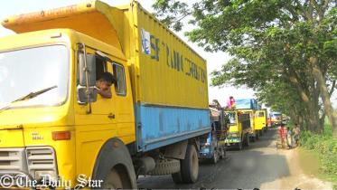 tailback.jpg
