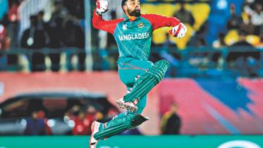 Tamim1.jpg