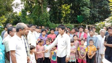 Tangail Indigenous 