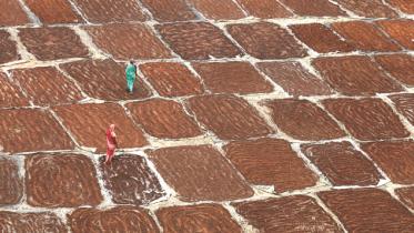 tannery-waste-01.jpg