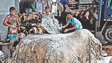 tannery.jpg