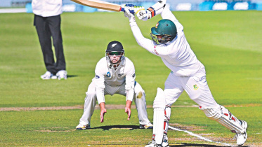 taskin.jpg