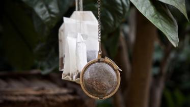 tea-bags-3817452_1920.jpg