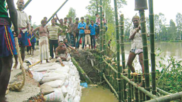 Teesta-devours.jpg