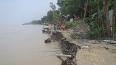 teesta.jpg