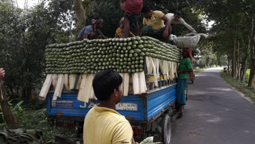 Thakurgaon.jpg