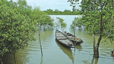 The Munda people of the Sundarbans