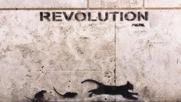 The Rebel