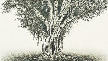 the tree.jpg