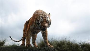 Tiger-1WB.jpg