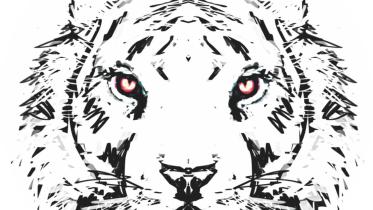 Tiger Belal