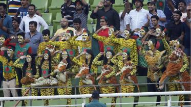Tigers salute.jpg