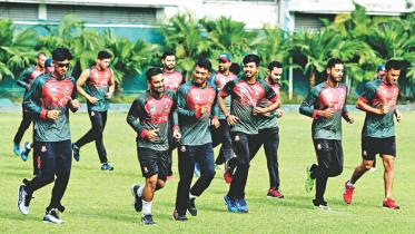 tigers train up.jpg