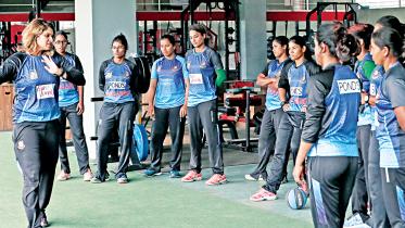 Tigresses.jpg