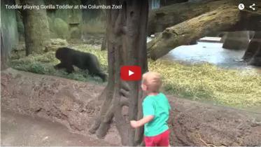 toddler-WEB.jpg