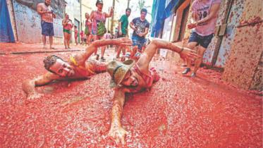 Tomato fest
