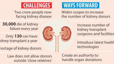 transplantation.jpg