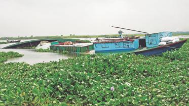 trawler accident.jpg