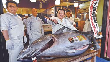 tuna.jpg