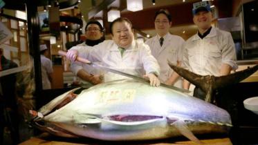 tuna_AP.jpg