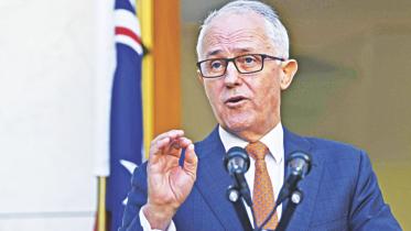 turnbull.jpg