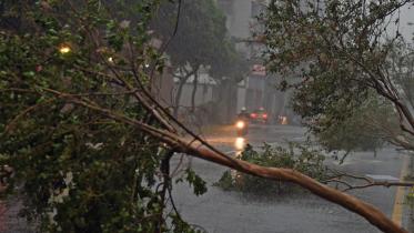 typhoon-souledor-1-web.jpg