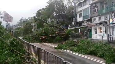 typhoon.jpg