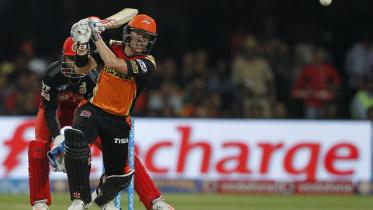 Warner-1.jpg