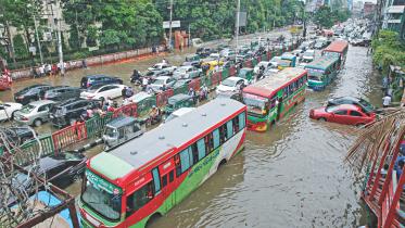 waterlogged.jpg