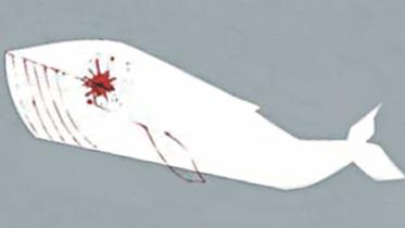 blue whale game