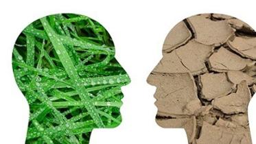 whole-of-society-approach-climate-change.jpg