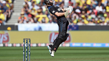 Williamson.jpg